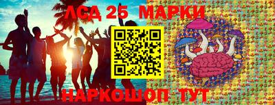 PSILOCYBIN Гай