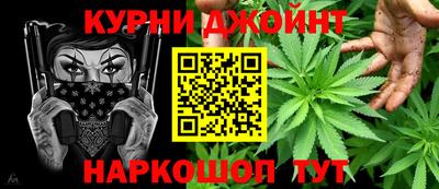 mdpv Гатчина