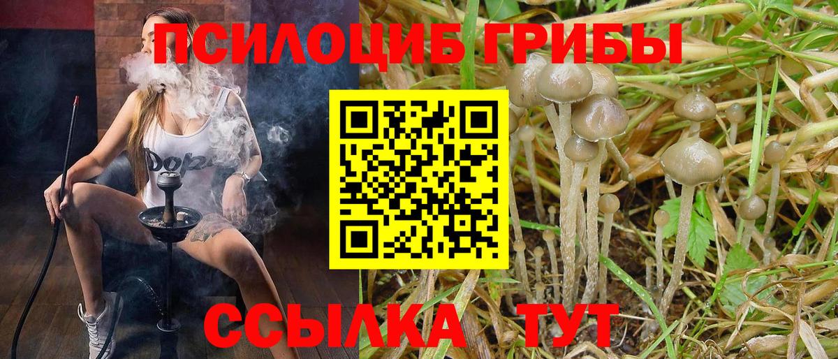Псилоцибиновые грибы мухоморы Можга