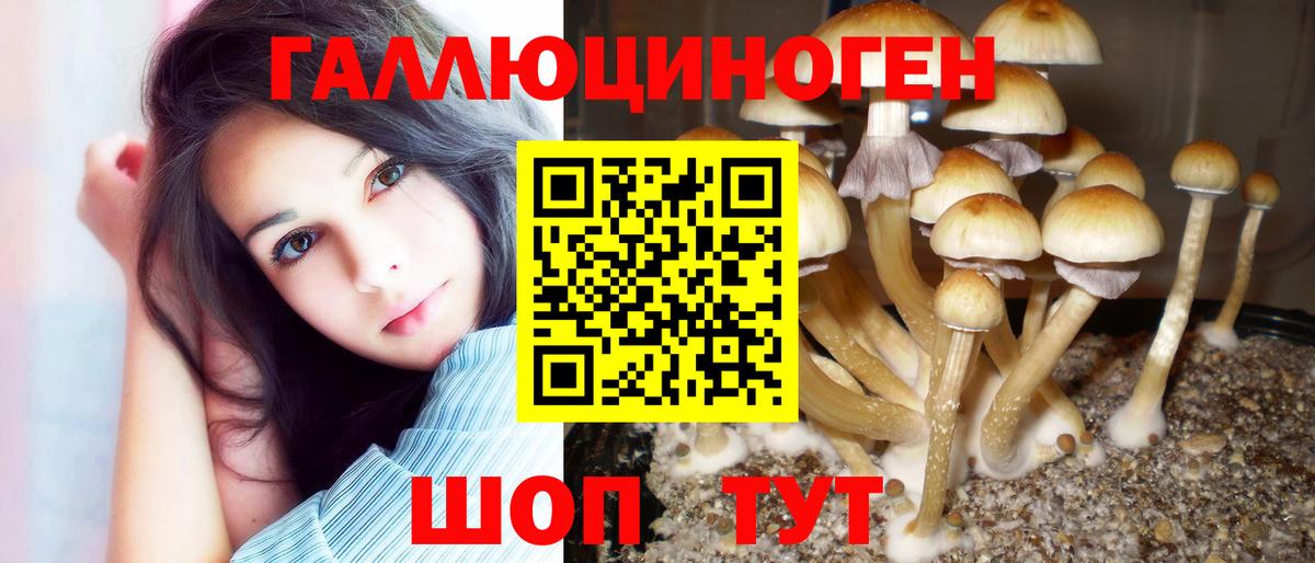 Галлюциногенные грибы ЛСД  Вход с VPN  Можга 